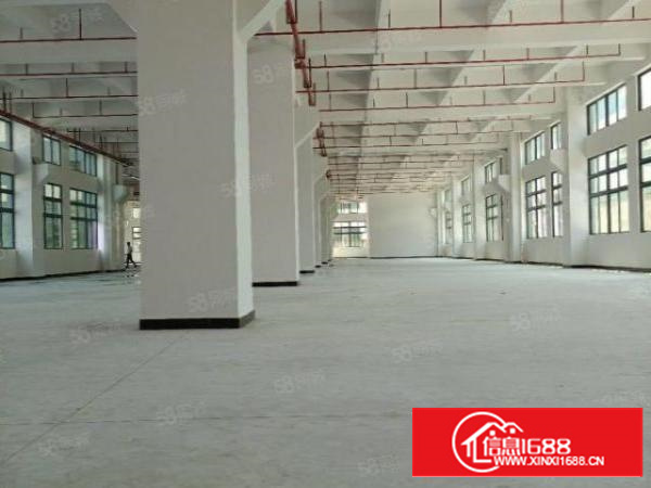 寮步石龙坑村委附近新出带牛角标准厂房450起分，九成新