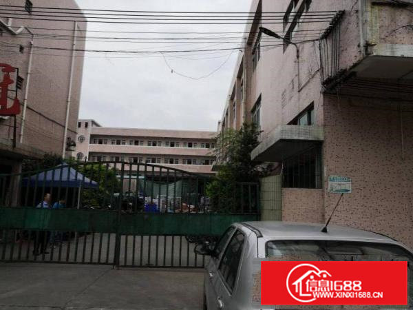 成熟工业区标准厂房一楼1000平方米出租