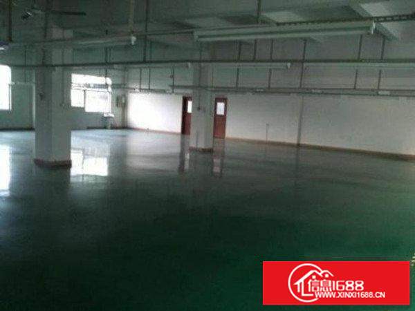 天汇大厦新出楼上办公室出租112平精装修