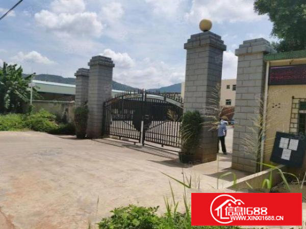 宝安沙井2280平厂房仓库出租,可办公可分租空地大货车可调头