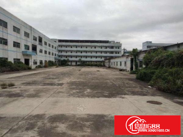 坪山金碧路边分租一楼800平层高5米有卸货平面积实在