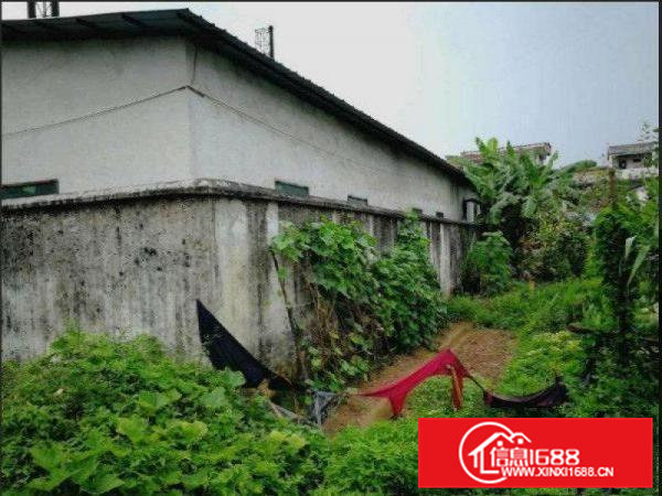 还珠沥村委小独院厂房急租650平米水电办公齐全