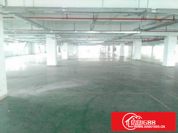 龙城新出原房东二楼带装修厂房1600平招租