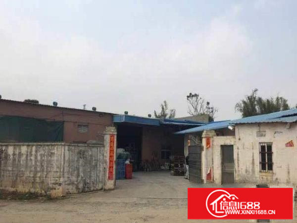 东莞市常平镇靠近大京九小独院单层厂房