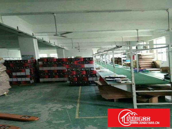 观澜观光路边带豪华装修二楼厂房1800平米出租