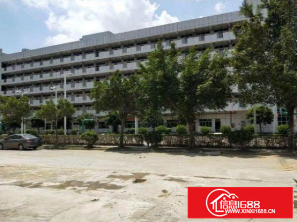 带红本国土证全新标准厂房可办理环评256403栋出租分租