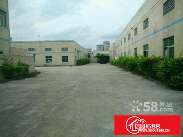 原房东13000平方九成新独院钢构厂房出租