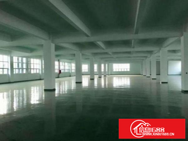 直租！九江敦根村1楼1250平厂房，可分租