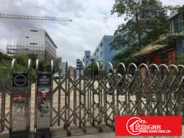 大浪商业中心原房东13100平无公摊出租