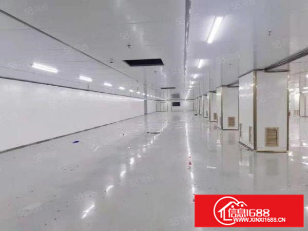 长塘大道原房东一楼漂亮价格好谈厂房2000平方.