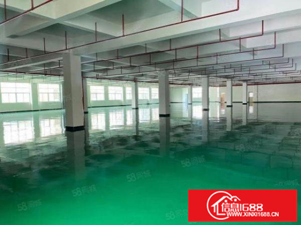 坪山生物医疗产业园2350平方厂房出租三楼优享坪山政策补贴