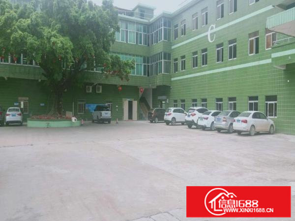 荔横村新出一楼350平二楼600平厂房出租可分租