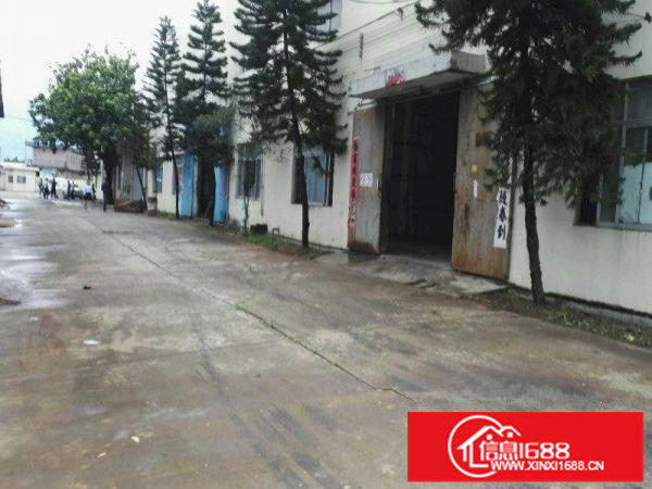 坑梓老坑深汕路边独院标准一楼600平方出租