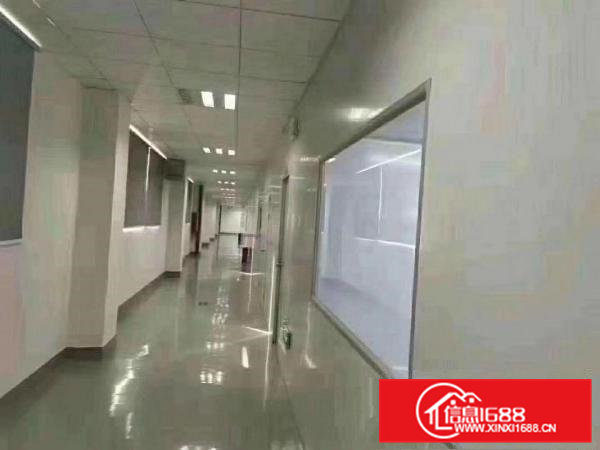 凤岗镇临深片区医疗口罩万级无尘车间独立厂房8800平米出租