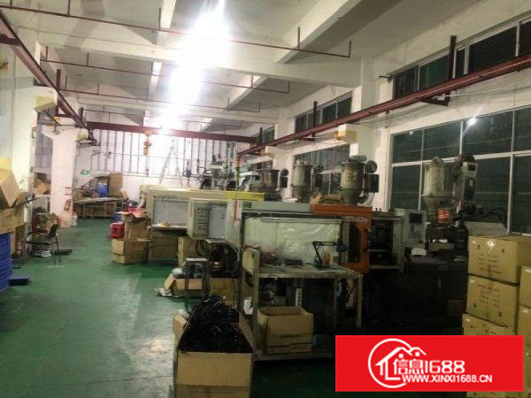 一楼标准新厂房分租400-500平方米