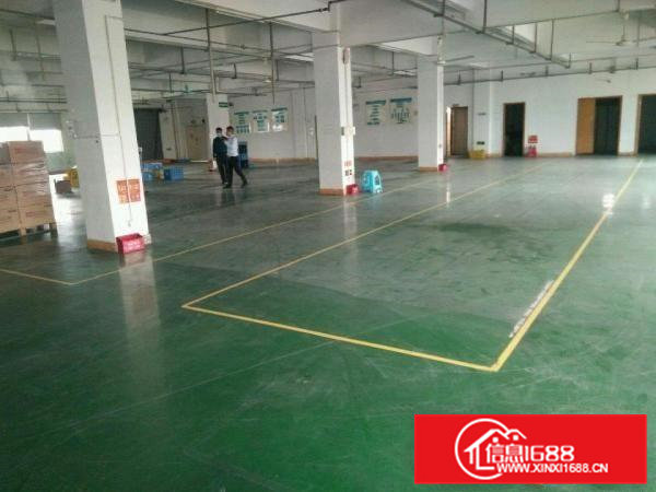 原房东独院红本厂房13元出租10000平方