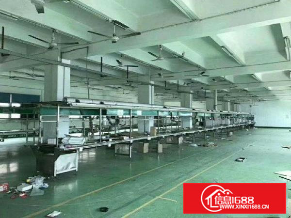 塘厦横塘2800平独院厂房租仓库523平免费送