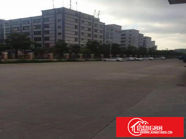 南坑350平带精装修出租