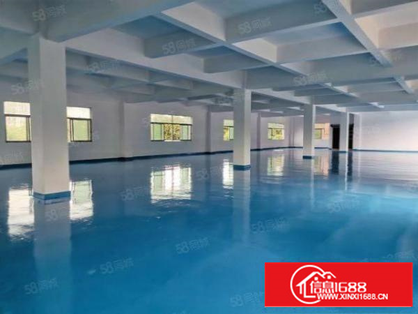 万江新和横滘村富通工业园独门独院4000平招租，水电齐全