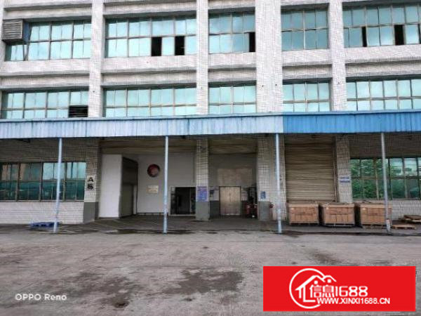 坑梓老坑重工业厂房1200平米低价出租