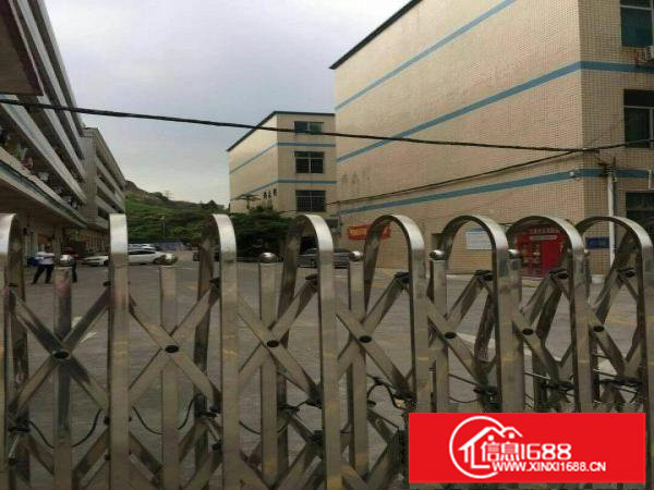 龙岗区平湖广场附近新出带装修700平方标准厂房出租