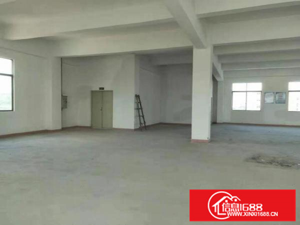 沥林独门独院四层厂房招租有国土有消防水电齐全