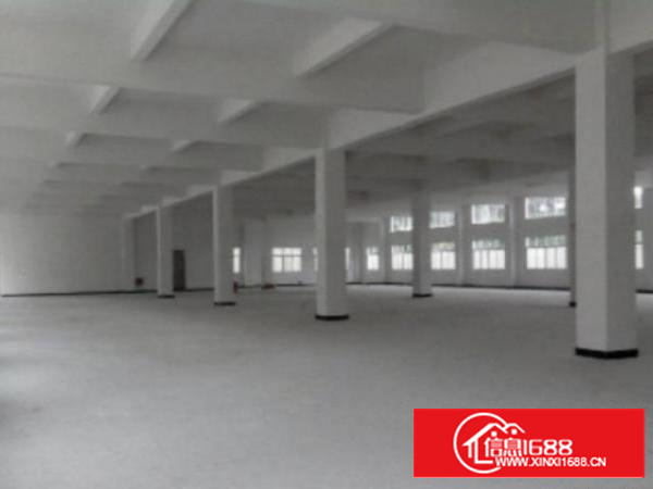 万江1出租50015002000平方出租可办环评