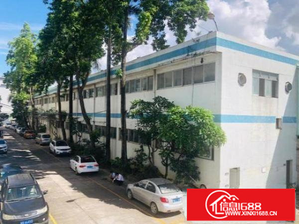 本园区2栋钢构厂房，一栋标准厂房