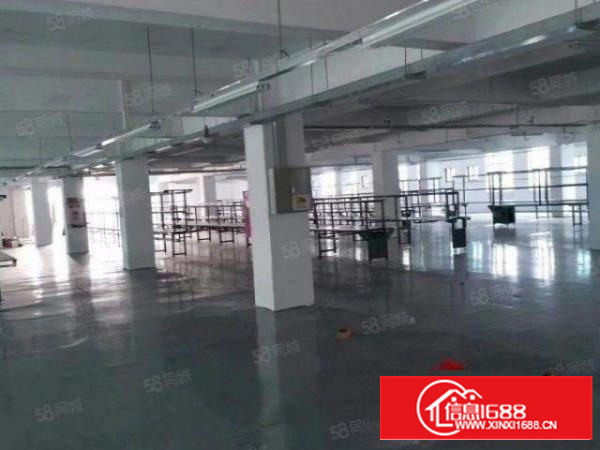 寮步石龙坑新出1000平工业用地厂房滴水8米拎包即可生产