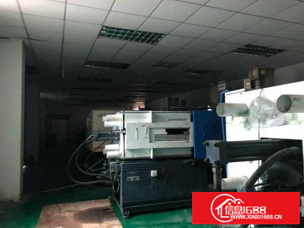 桥头镇新出原房东800.平方标准厂房