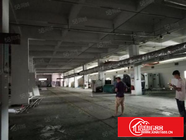 石碣四甲一手房东招租标准独院厂房一楼500平方，无公摊