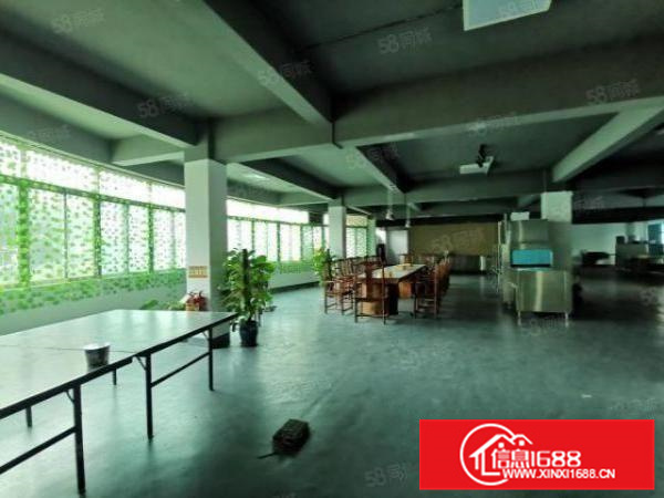 出租大良国道边2吨货梯精装修车间300平800平