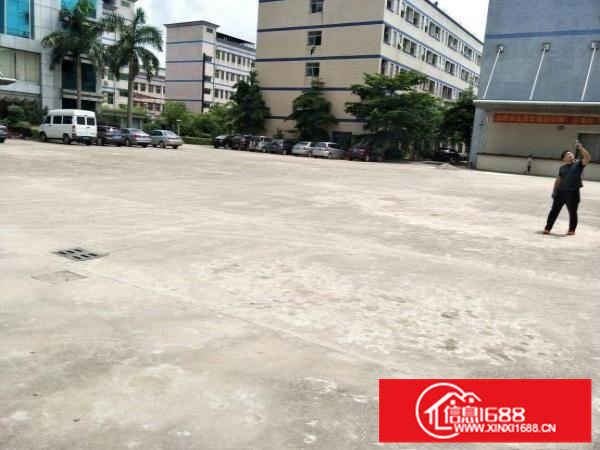 惠阳新墟1200平一楼高6米有喷淋地坪漆空地超大