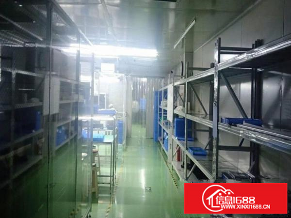 龙东楼上带地坪漆带无尘车间厂房出租