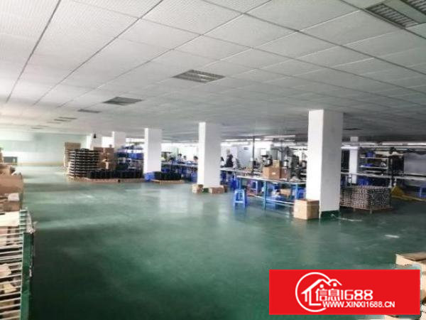 清溪镇高速路口新出带办公室、地坪漆标准厂房二楼1000平