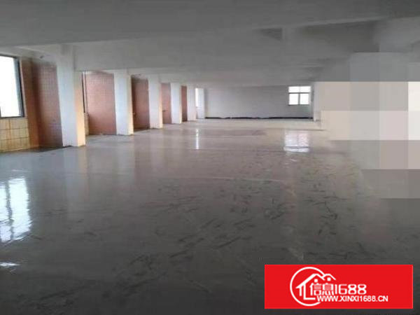 转租长安新民路新安大桥桥底厂房500平方，租金6千，中介勿扰