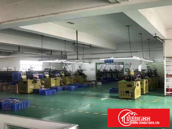 新出楼上550平精装修厂房