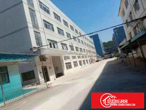 横岗228红本独立园区楼上4100平23元包出租