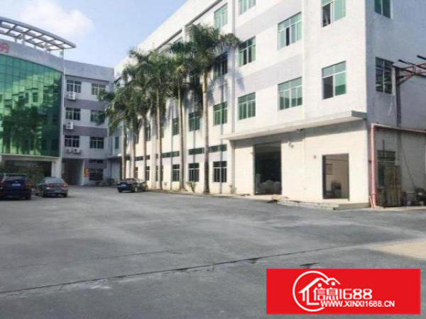 笋盘深圳观澜楼上地坪漆2000方，豪华办公室，空地大进大车