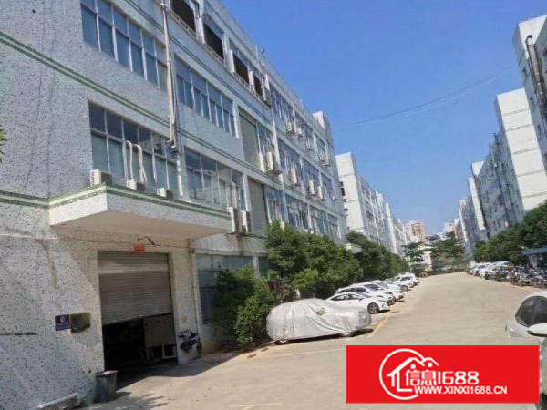 山厦新空出一楼580平（6米高，3吨行车，2间办公室