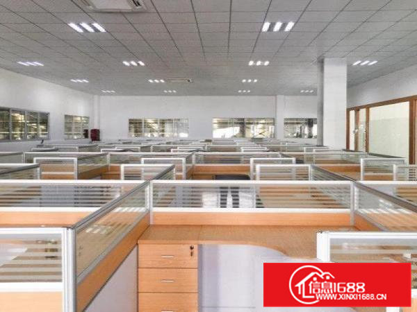 东坑带装修办公室拎包入驻