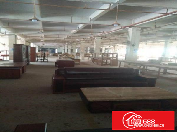 新圩独门独院厂房火爆招租