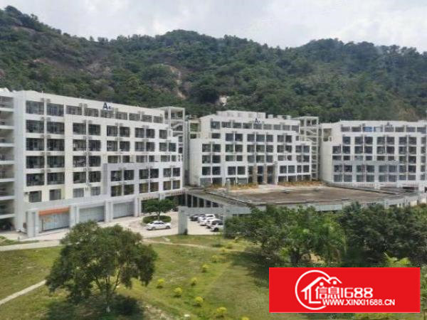 出租原房东石岩大型桃花源区实际面积出租2700平90起分