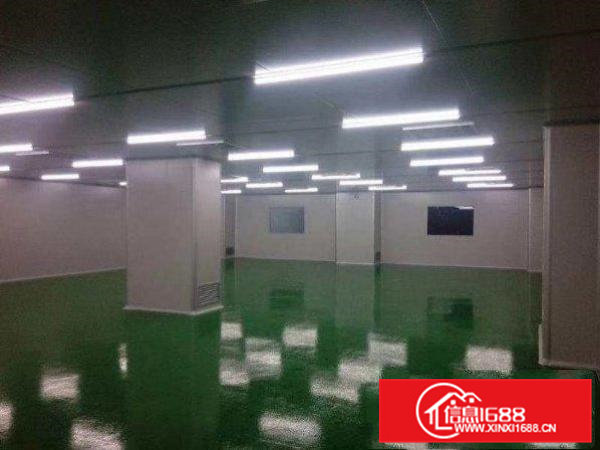 无尘车间，可做口罩医疗器械，可以分租
