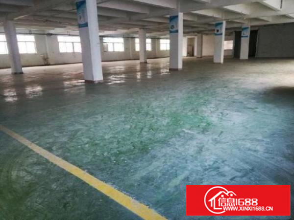 平湖海吉星附近厂房三楼1550平大小分租