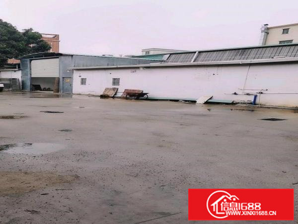 原房东独院厂房门前空地超大有宿舍办公司