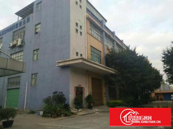 石排黄家壆村新出一楼七米高带装修厂房1600平