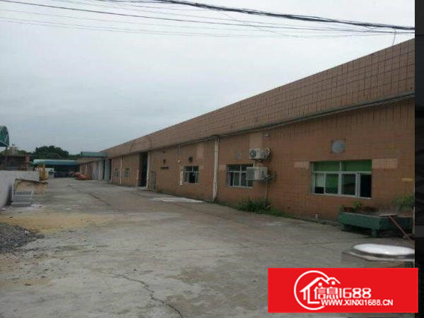 常平九江水新出原房东单一层厂房1900平，租金便