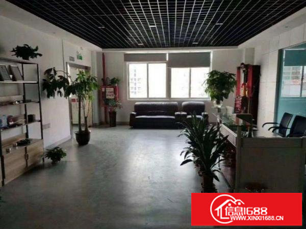 龙岗区龙岗地铁站旁电商园500平方精装修出租可分租