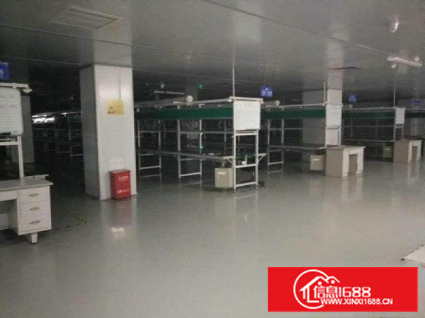 百年一遇！千级无尘车间5600平方！拎包即生产